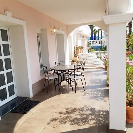 Darijana Опатия