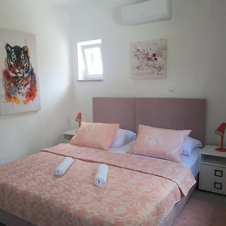 Darijana Опатия